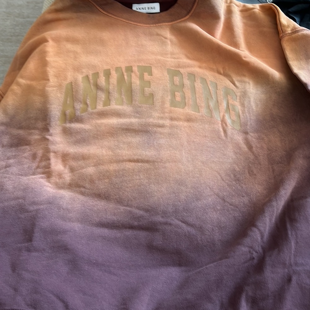 Anine Bing Brown and Gold Ombre Sweatshirt - Picture 14 of 14